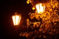 beautiful glowing street lamp in the park at night Royalty Free Stock Photo