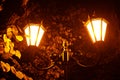 beautiful glowing street lamp in the park at night Royalty Free Stock Photo