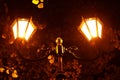 beautiful glowing street lamp in the park at night Royalty Free Stock Photo