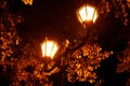 beautiful glowing street lamp in the park at night Royalty Free Stock Photo