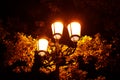 beautiful glowing street lamp in the park at night Royalty Free Stock Photo