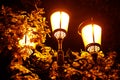 beautiful glowing street lamp in the park at night Royalty Free Stock Photo