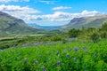 Glymur waterfall area on Hvalfjordur fjord, Iceland Royalty Free Stock Photo