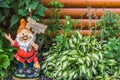 A beautiful gnome garden figure and green and white leaves of hosta plants with blue flowers on a brown wooden