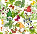 Beautiful gnomes with berries, butterflies. Summer seamless pattern with forest plants. Floral watercolor repeated