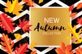 Beautiful Gold Autumn paper cut leaves. Hello Autumn. September flyer template. Square frame. Space for text. Origami Royalty Free Stock Photo