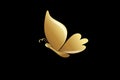 Beautiful gold butterfly flying isolated image luxury logo vector on black background Royalty Free Stock Photo