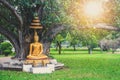 Beautiful gold color Buddha statue sitting under bodhi tree with sun light background, copy space