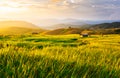 Beautiful gold color sunset at rice field, rice terrace.