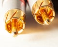 Gold interconnect RCA wires close up