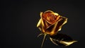 Beautiful gold rose on a black background, place for text