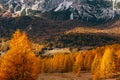 Beautiful golden autumn in the mountains. natural background. Dolomites Alps, Italy. autumn landscape Royalty Free Stock Photo