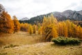 Beautiful golden autumn in the mountains. natural background. Dolomites Alps, Italy. autumn landscape Royalty Free Stock Photo