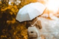 Beautiful golden autumn scene. Watercolor like blurred blond girl with backpack and bright umbrella stands under rainy Royalty Free Stock Photo