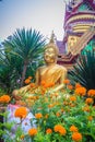 Beautiful golden Buddha image with marigold flowers on tree foreground at the public Buddhist temple. Royalty Free Stock Photo
