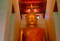 A beautiful golden Buddha statue at Wat Pa Lelai Temple
