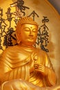 Golden buddha at world peace pagoda Royalty Free Stock Photo