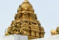 The beautiful golden color pinnacle of himavad gopalaswamy temple, the historic architecture, sky in the background