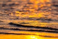 Beautiful golden colors of sunset over sea waves Royalty Free Stock Photo