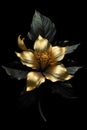 Beautiful golden flowers with black leaves isolated on a dark black background. Creative mystery concept. Elegant love