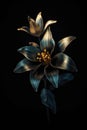 Beautiful golden flowers with black leaves isolated on a dark black background. Creative mystery concept. Elegant love