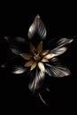 Beautiful golden flowers with black leaves isolated on a dark black background. Creative mystery concept. Elegant love