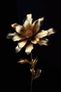 Beautiful golden flowers with black leaves isolated on a dark black background. Creative mystery concept. Elegant love