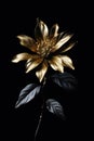 Beautiful golden flowers with black leaves isolated on a dark black background. Creative mystery concept. Elegant love