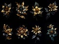 Beautiful golden flowers set with black leaves isolated on a dark black background. Creative mystery concept. Elegant