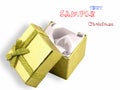 Beautiful golden gift on a over white background