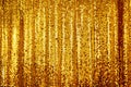 Beautiful golden glitter background Royalty Free Stock Photo