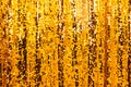 Beautiful golden glitter background Royalty Free Stock Photo