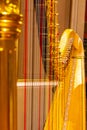 Beautiful golden harp strings close up. Musical instruments of the Orchestra in philharmonia