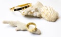 Golden jewelry with decorative seashells on white background