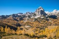 Golden larches in mountains