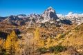 Golden larches in mountains