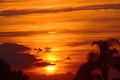 Beautiful Golden Maui, Hawaii Sunset with Palm Trees Royalty Free Stock Photo