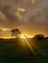 The beautiful golden Namibian sunset. Royalty Free Stock Photo