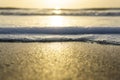 Beautiful Golden Ocean Beach Background