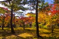 Beautiful golden pavilion with autumn garden, Kyoto