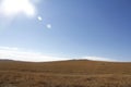 Beautiful golden prairie and birch forest