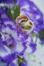 Beautiful golden rings on the blue wedding bouquet Royalty Free Stock Photo