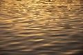 Surface of the sea water at sunset with ripples Royalty Free Stock Photo