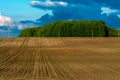 Beautiful golden rows of soil before planting at sunset. Furrowing on a plowed field prepared for spring sowing of agricultural Royalty Free Stock Photo