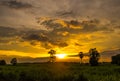 Beautiful golden sky background