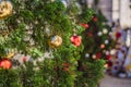 Beautiful golden sparkling ball on artificial Christmas tree. Selective focus. Holiday card with decorations for the New Royalty Free Stock Photo