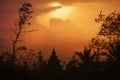 Golden sunset Silhouette of Mahabalipuram Temple