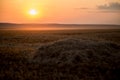 A beautiful Golden Sunset on a hay field Royalty Free Stock Photo