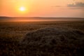A beautiful Golden Sunset on a hay field Royalty Free Stock Photo