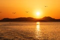 Beautiful golden sunset over the sea and silhouettes of seagulls, Corfu island, Greece Royalty Free Stock Photo